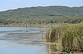 Sozopol, the mouth of the Ropotamo River natural reserve